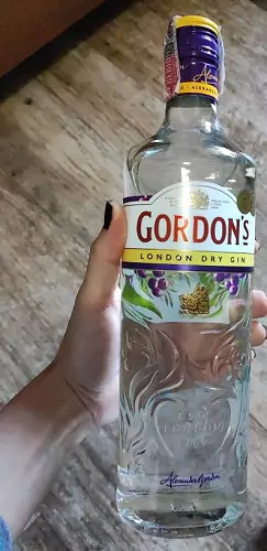 Imagem de teste Gordon's